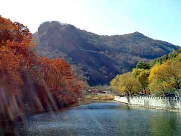 新澳天天开奖资料大全旅游团，低碳商城